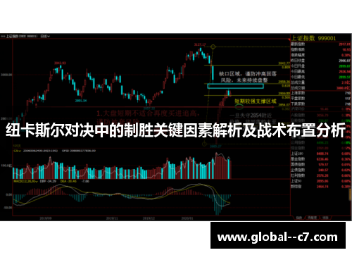 纽卡斯尔对决中的制胜关键因素解析及战术布置分析