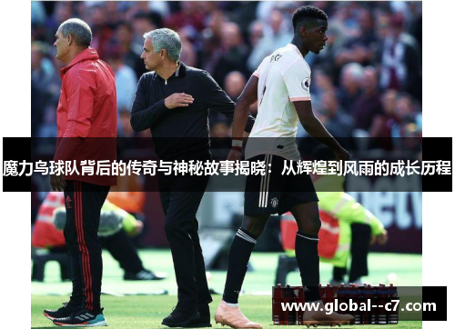 魔力鸟球队背后的传奇与神秘故事揭晓：从辉煌到风雨的成长历程