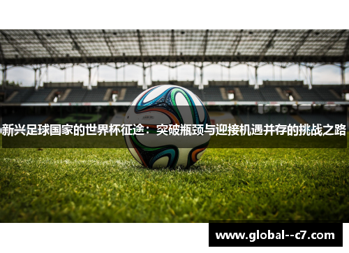 新兴足球国家的世界杯征途：突破瓶颈与迎接机遇并存的挑战之路