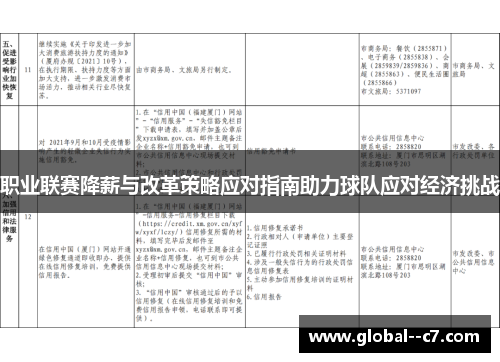 职业联赛降薪与改革策略应对指南助力球队应对经济挑战