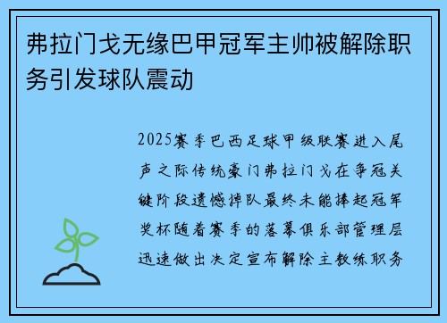 弗拉门戈无缘巴甲冠军主帅被解除职务引发球队震动
