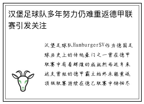 汉堡足球队多年努力仍难重返德甲联赛引发关注 汉堡足球队多年努力仍难重返德甲联赛引发关注